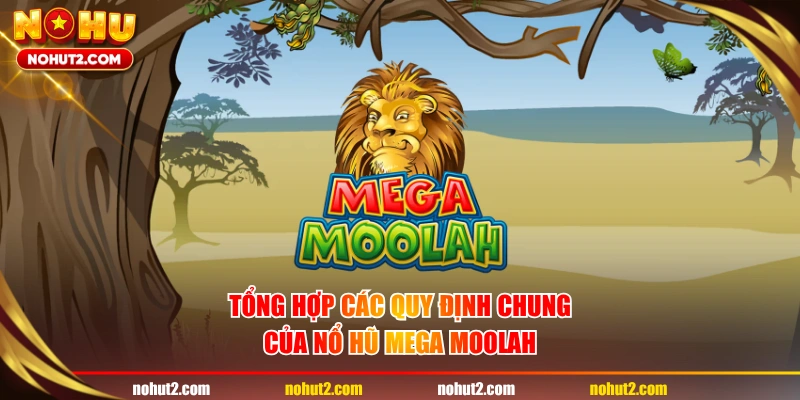 Tổng hợp các quy định chung của nổ hũ Mega Moolah